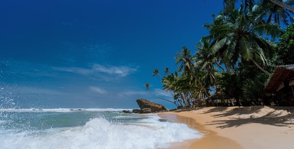 beach, waves, panorama, panoramic, ocean waves, palm trees, tropical island, paradise, coconut trees, idyllic, island, ocean, relaxation, sand, sea, seascape, seashore, summer, sun, nature, travel, tropical, vacation, water, blue water, blue sea, blue ocean