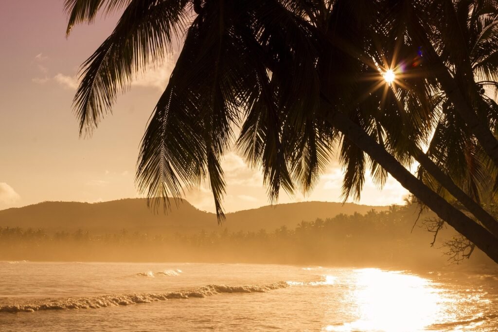 beach, sea, waves, ocean waves, island, tropical island, palm trees, coast, coastline, shore, nature, ocean, palms, trees, seashore, sunrise, sunset, water, beach, beach, island, palm trees, palm trees, palm trees, palm trees, palm trees, trees